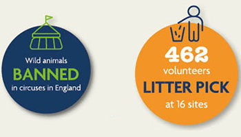 campaign successes 2019 rspca