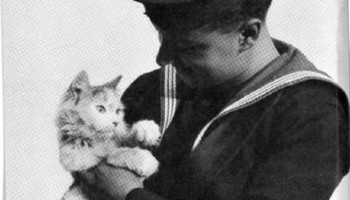 How we helped animals during the First World War - RSPCA How we helped animals during the First World War - RSPCA