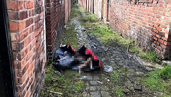 dog dumped in alleyway 