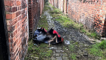 dog dumped