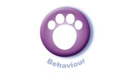 Dog behaviour