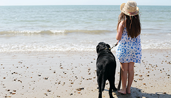 dog at beach