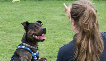 young woman pointing to dog © RSPCA