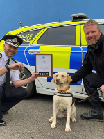 labrador sitting in between two police officers in fron of police car © RSPCA