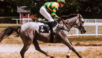 side view of jockey riding horse in a race © mathias-p /Unsplash