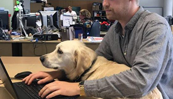 office dog and lewis