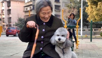 old lady with dog in china