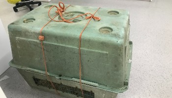 puppy crate