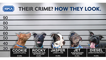 rspca against BSL