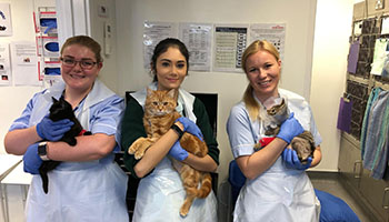 rspca apprenticeship