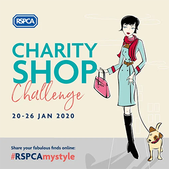 rspca charity shop challenge jan