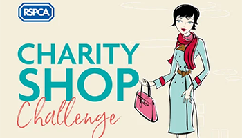 rspca charity shop challenge