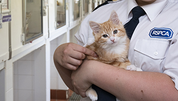 rspca coronavirus