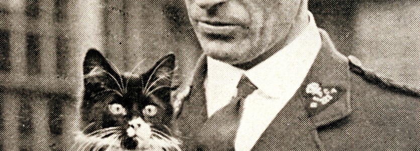 rspca inspector with cat ww1