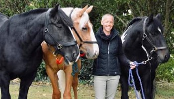 horses RSPCA