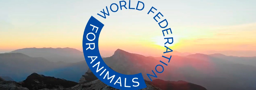 Together for animal welfare with the World Federation for Animals - RSPCA