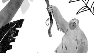 black and white illustration of an orangutan in the jungle © RSPCA