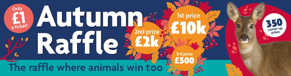 RSPCA charity raffle | RSPCA