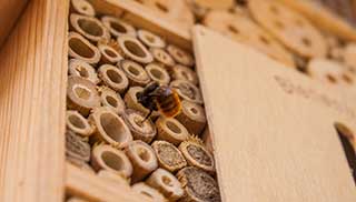 encourage bees to your outdoor space with a bee hotel