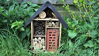 encourage insects to your outdoor space with a bug hotel