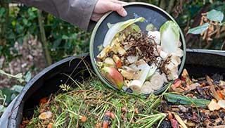 worms can make their home in a compost bin