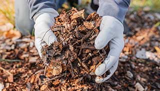 wildlife can make their home in a leaf pile