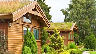 convert shed roofs to a living roof to encourage wildlife