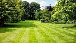 large lawned garden with trees bordering the grass