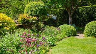 shrubs and trees provide all types of wildlife a home