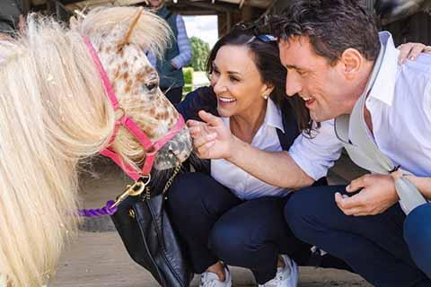  Shirley Ballas meeting a miniature horse during a visit to an RSPCA animal centre