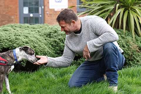  Steve Backshall greeting an RSPCA rescue dog