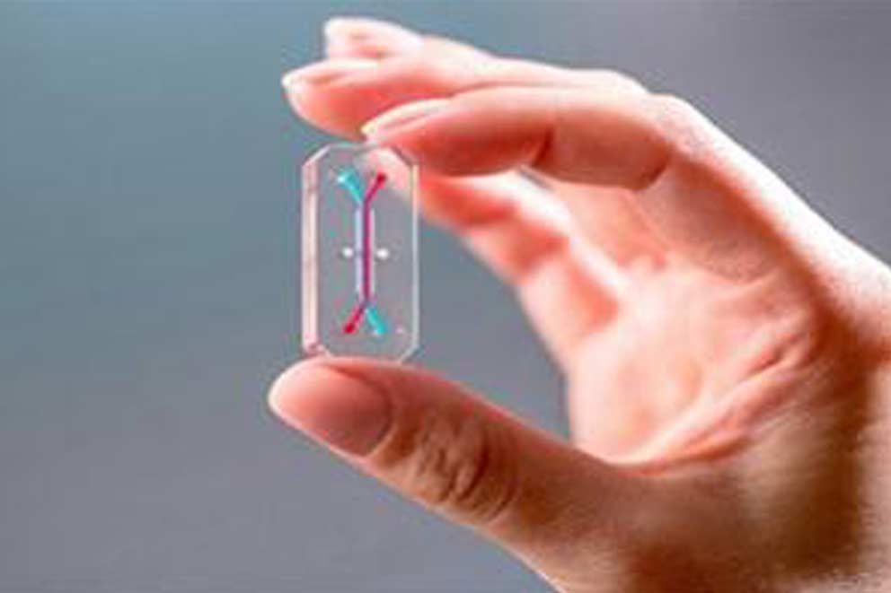 A human hand holding a medical microship.