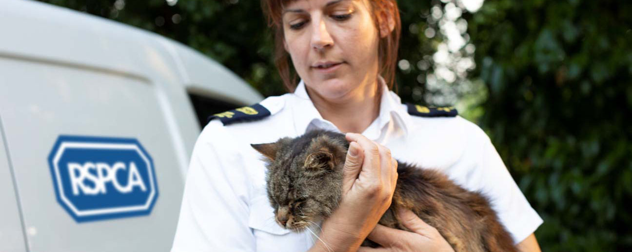 An RPSCA inspector holding a rescued kitten standing by RSPCA van.