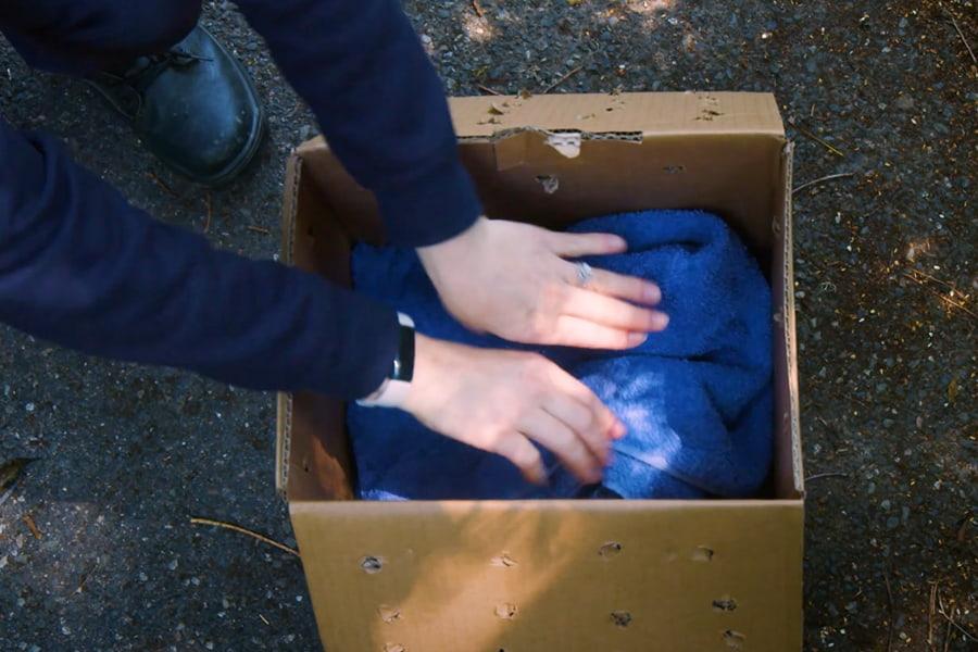 A person wearing a navy long sleeved top folding a bright blue towel into a cardboard box.