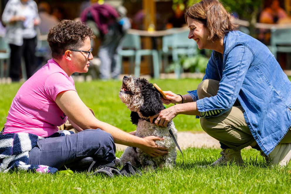 Two fundraisers sat on the grass at an event, petting a grey poodle cross dog.