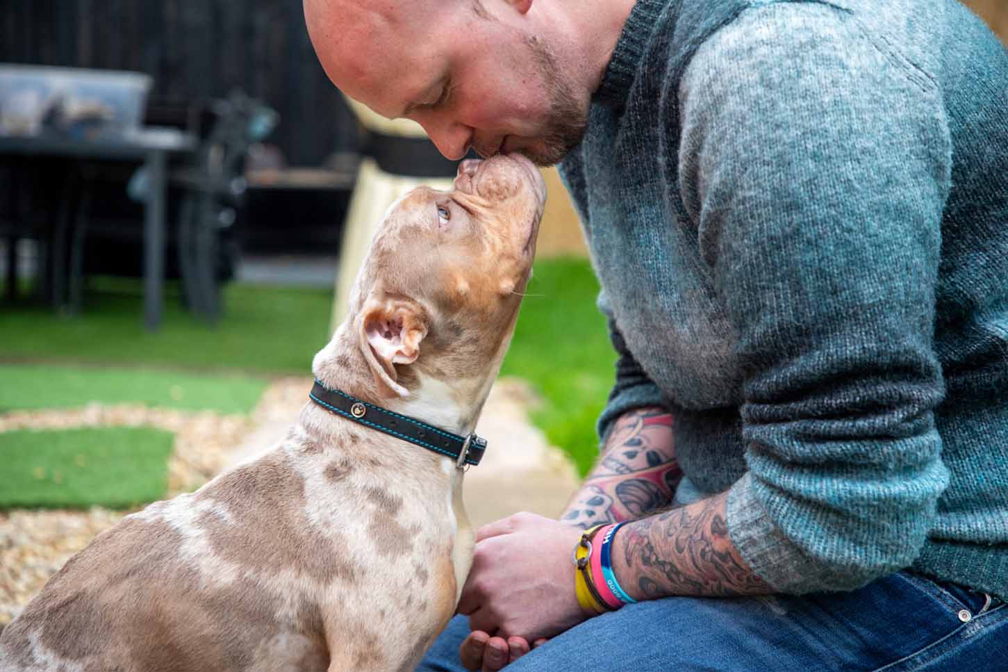 Chris kneels outside to gently kiss Bertie, a brown and white speckled foster dog, on his nose.