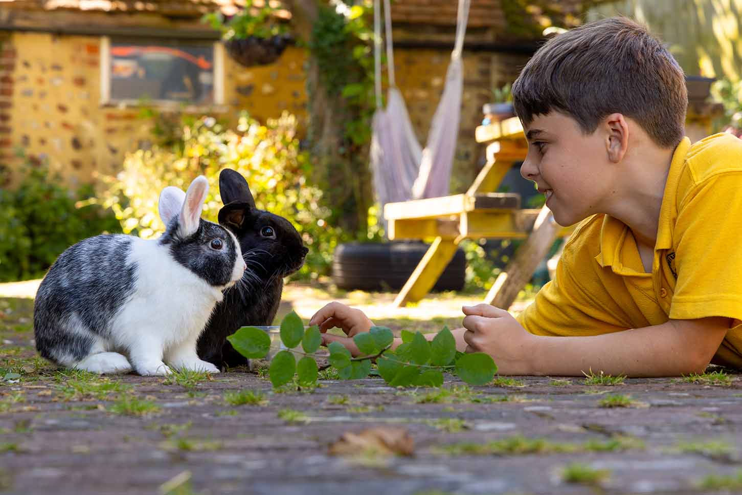 A boy in a yellow shirt lies comfortably on a garden patio, smiling warmly at a black and white speckled rabbit and a black rabbit.