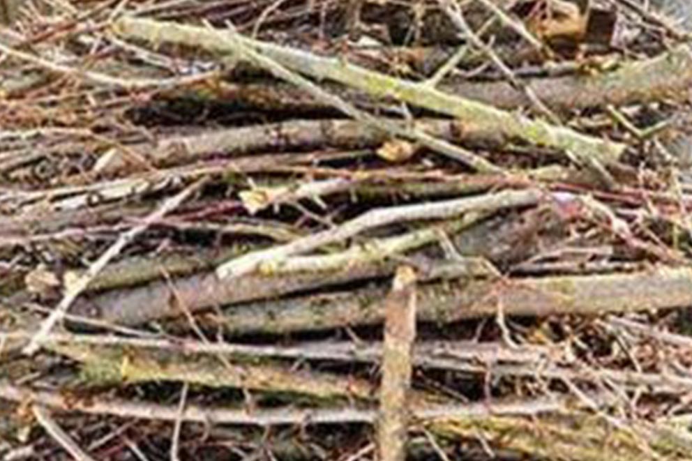 A "dead hedge" made from sticks and twigs stacked together to create a natural form that encourages wildlife.