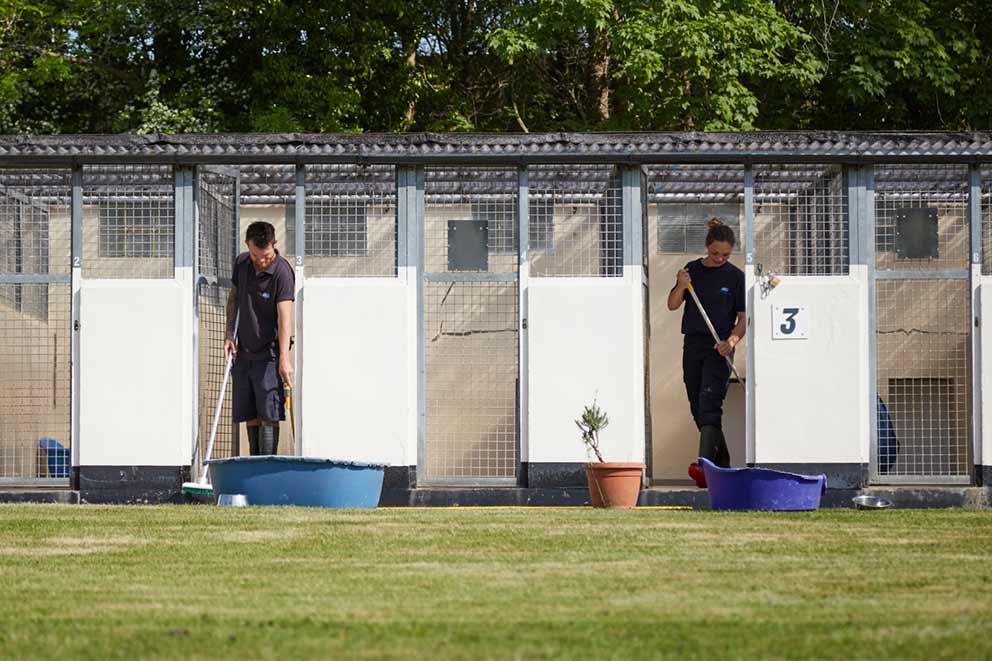 Two RSPCA staff members cleaning dog kennels and yard.