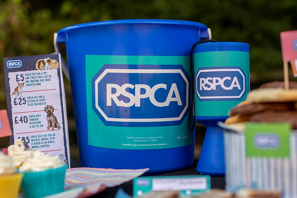 An RSPCA collection tin and bucket.
