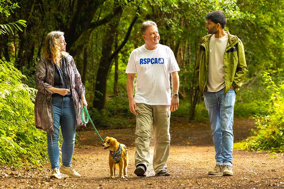 Three people chatting as they walk, one is wearing an RSPCA t-shirt and another is walking a dog.