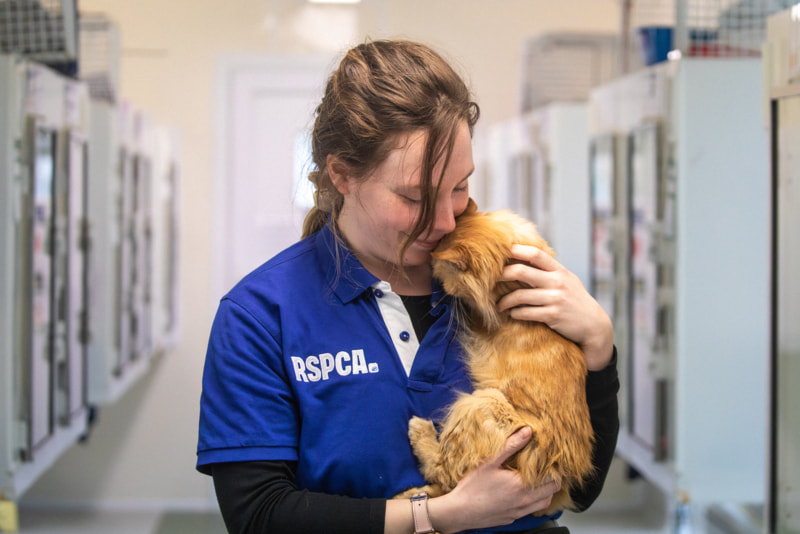 An animal care assistant cuddles an affectionate cat
