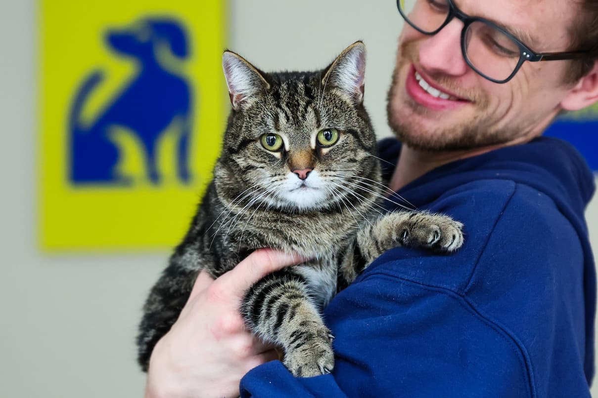 A smiling man safely holds a calm brown tabby cat in his arms.