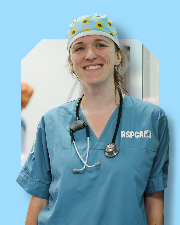 A smiling vet wearing teal scrubs with an RSPCA logo and a sunflower-patterned scrub cap.