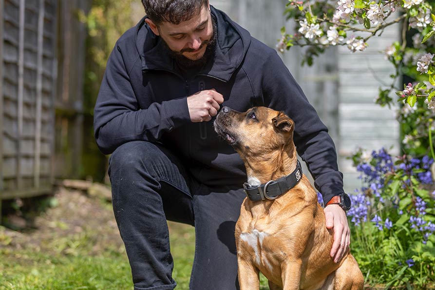 A man kneels in a blooming garden to look fondly at his brown dog, who sits patiently facing him.