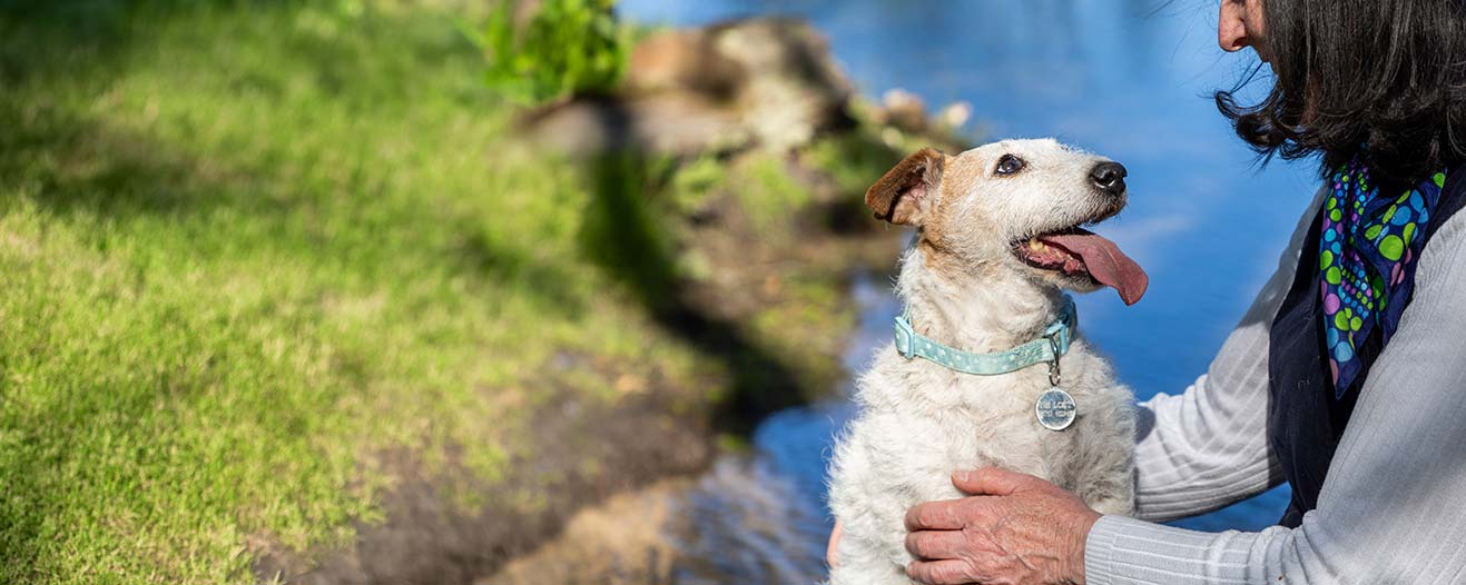 A woman sits beside a stream, smiling warmly at a white and tan wire-haired terrier who is looking back at her.