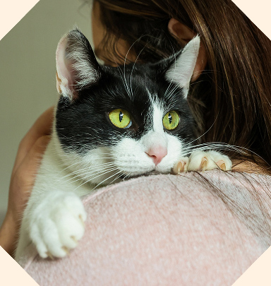 A black and white cat with bright green eyes rests their paws gently on a person's shoulder while being held.
