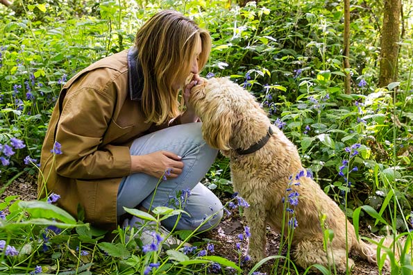 A woman crouches in a woodland area filled with blooming bluebells, affectionately touching noses with her fluffy golden-brown dog.