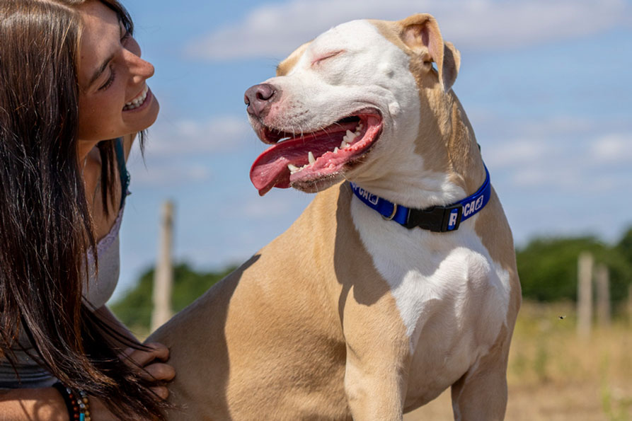 A smiling woman sits outdoors with Nova, a happy tan and white dog, who has their eyes closed.