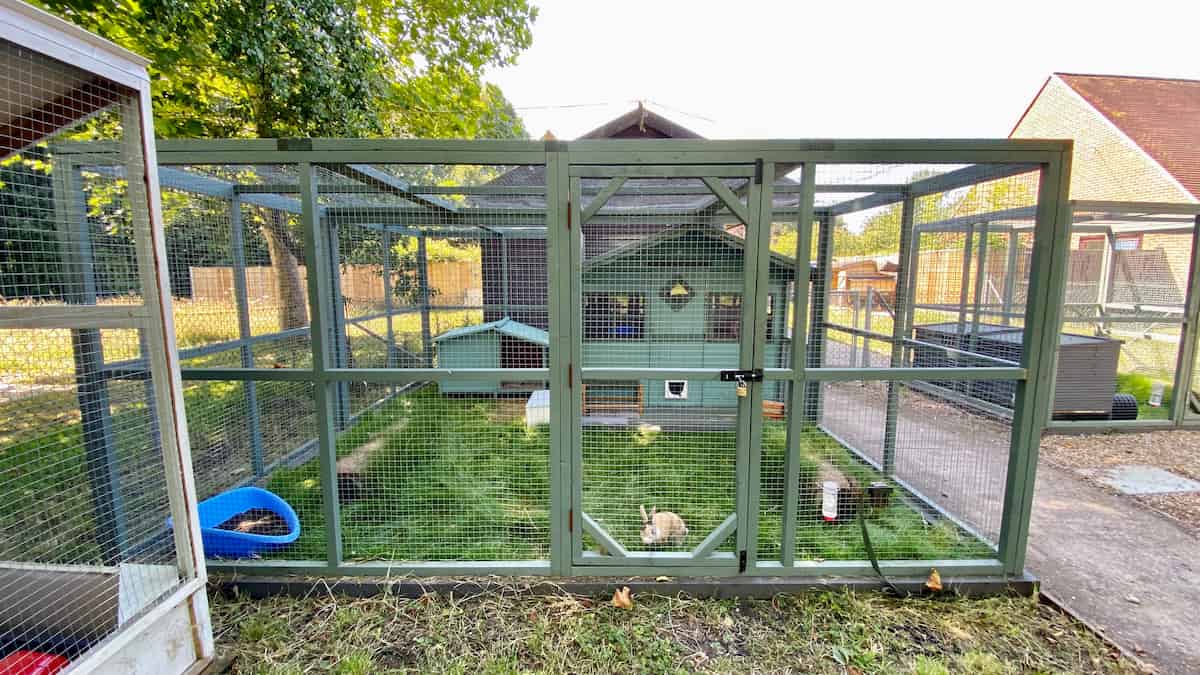 A large outdoor rabbit enclosure containing shelters, tunnels and other enrichment.